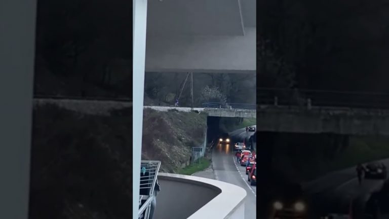 MILOGORCI DOBILI PO ZASLUZI: Građani izmetom gađali Komite (VIDEO)