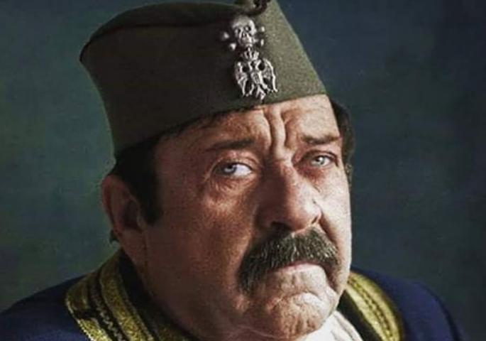 pavlevuisic